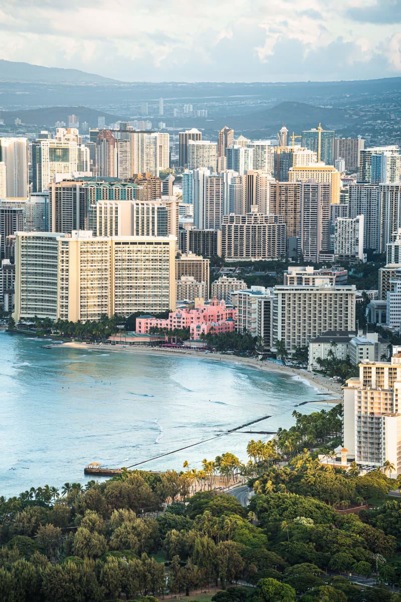 Tropical City (Vertical)
