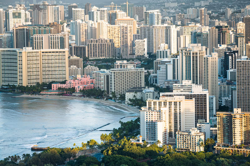 Tropical City (Horizontal)
