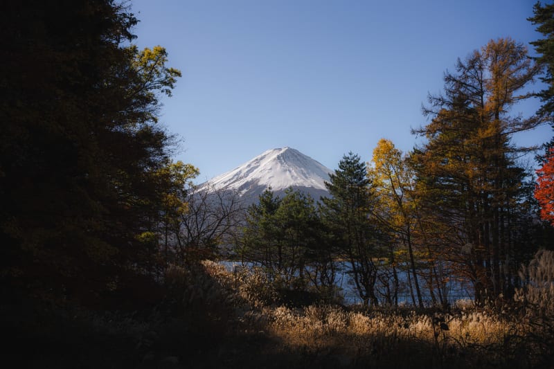 Fall Time Fuji