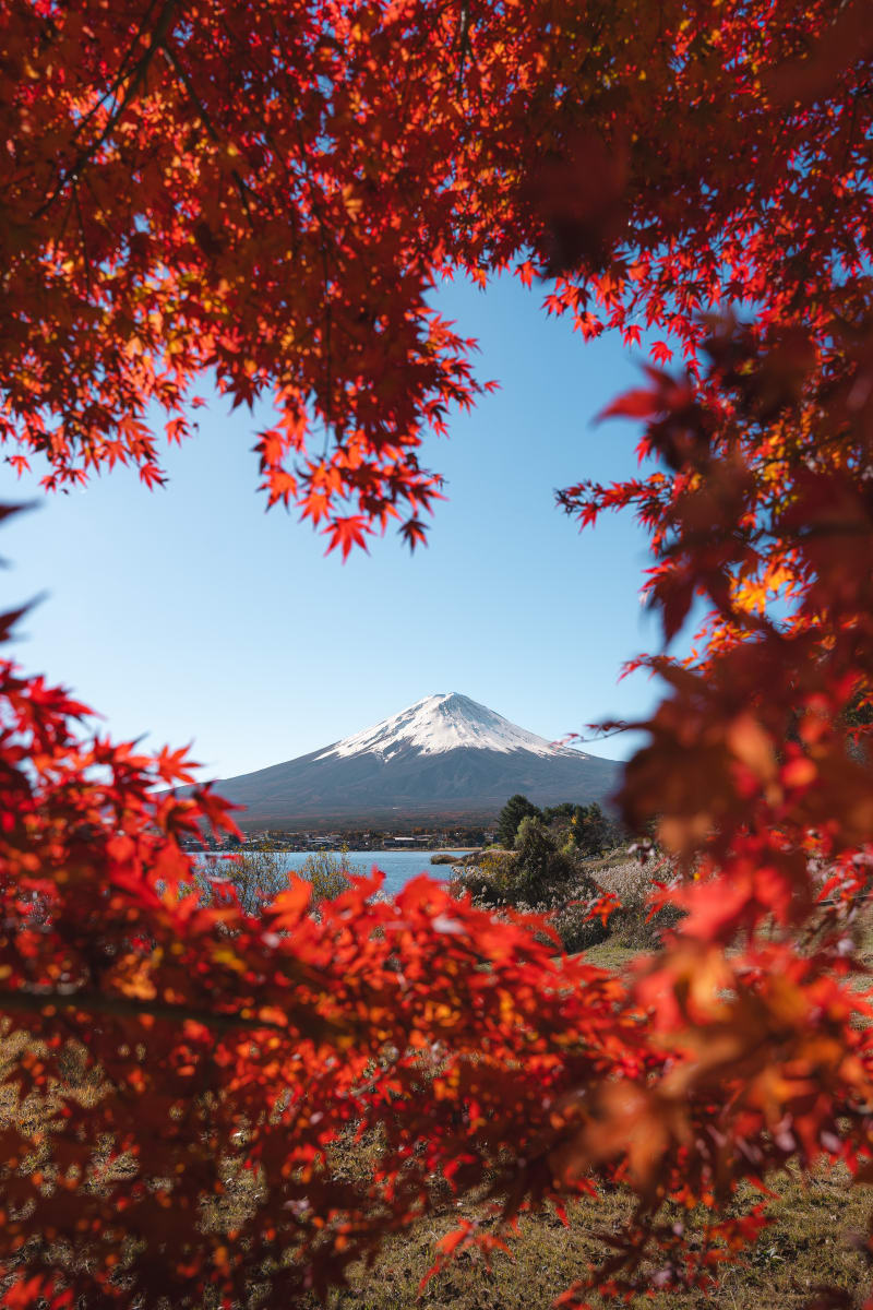 Fuji Love (Vertical)