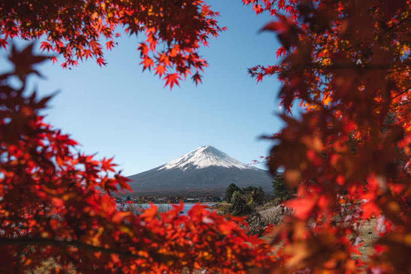 Fuji Love (Horizontal)