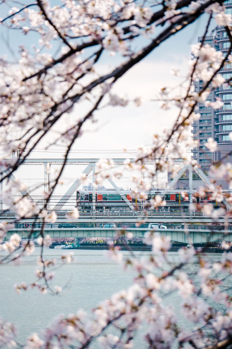 Spring Train