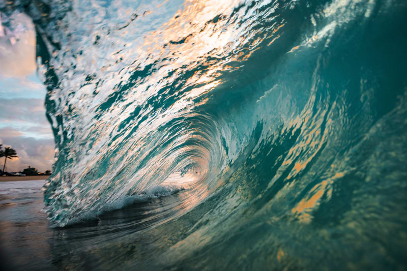 Deep Teal