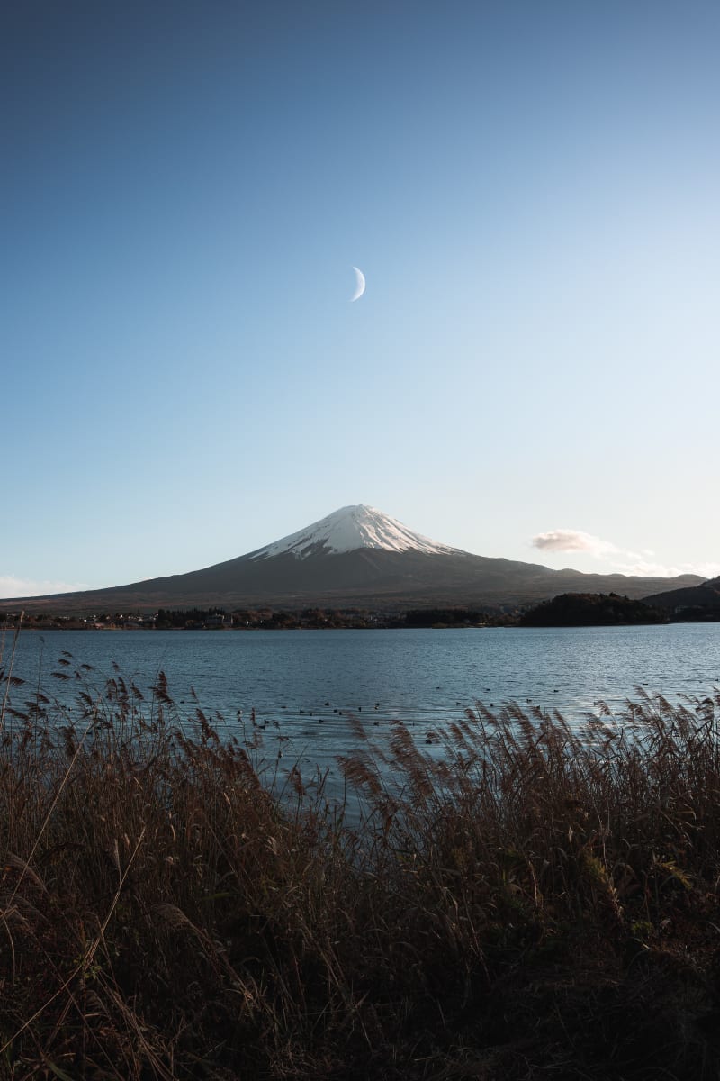 Fuji and the Moon