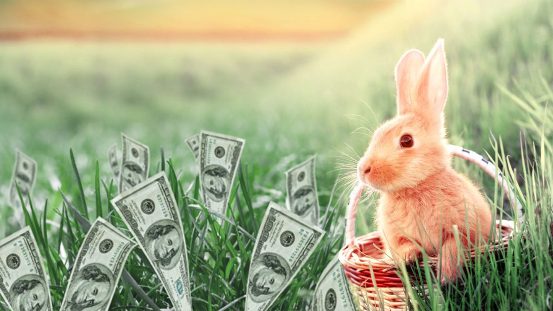 The Easter Bunny Just Brought $20 Pay Rates! | Culinary Staffing Service