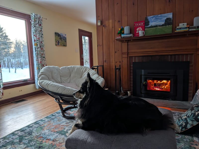 Dog resting by the fireplace