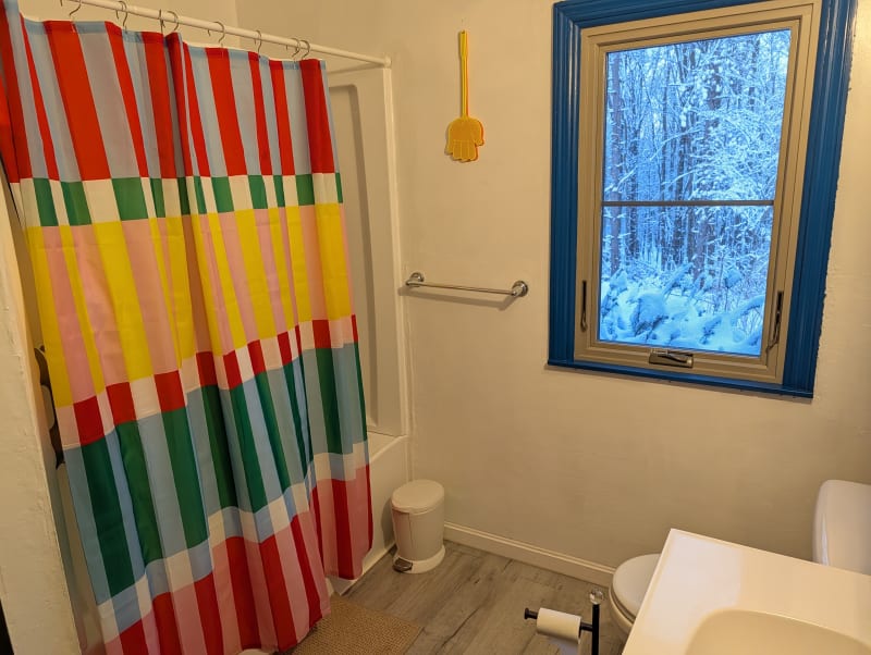 Downstairs bathroom shower