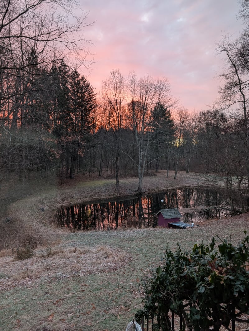 Sunrise looking east from the property