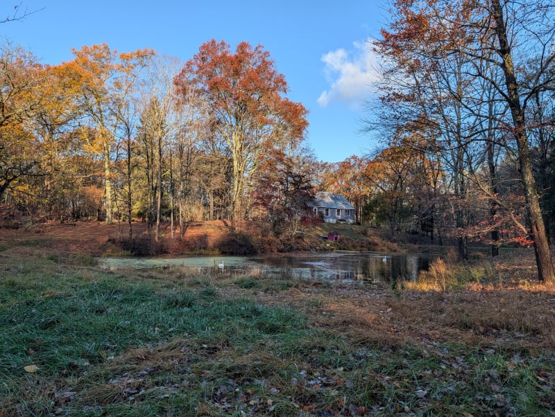 Pond surrounded by fall colors