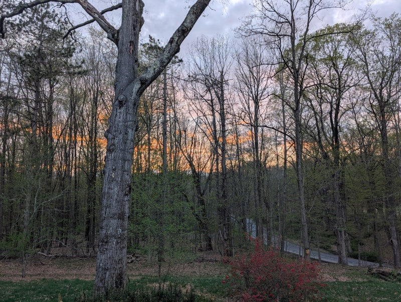 Sunset from the property