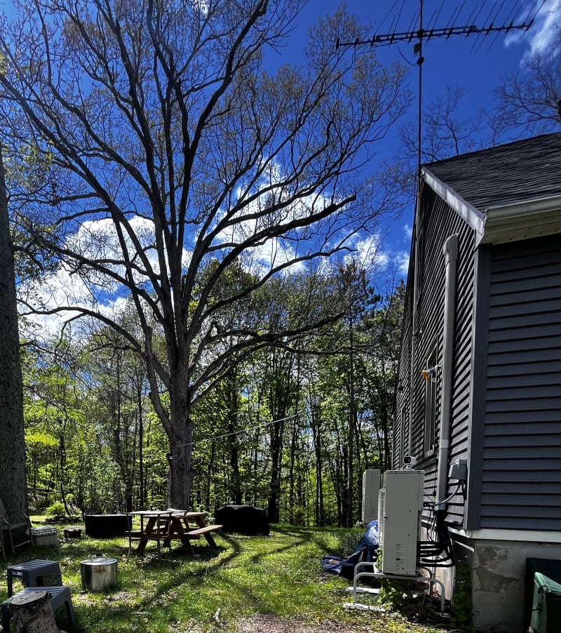 House exterior with outdoor dining area and large oak