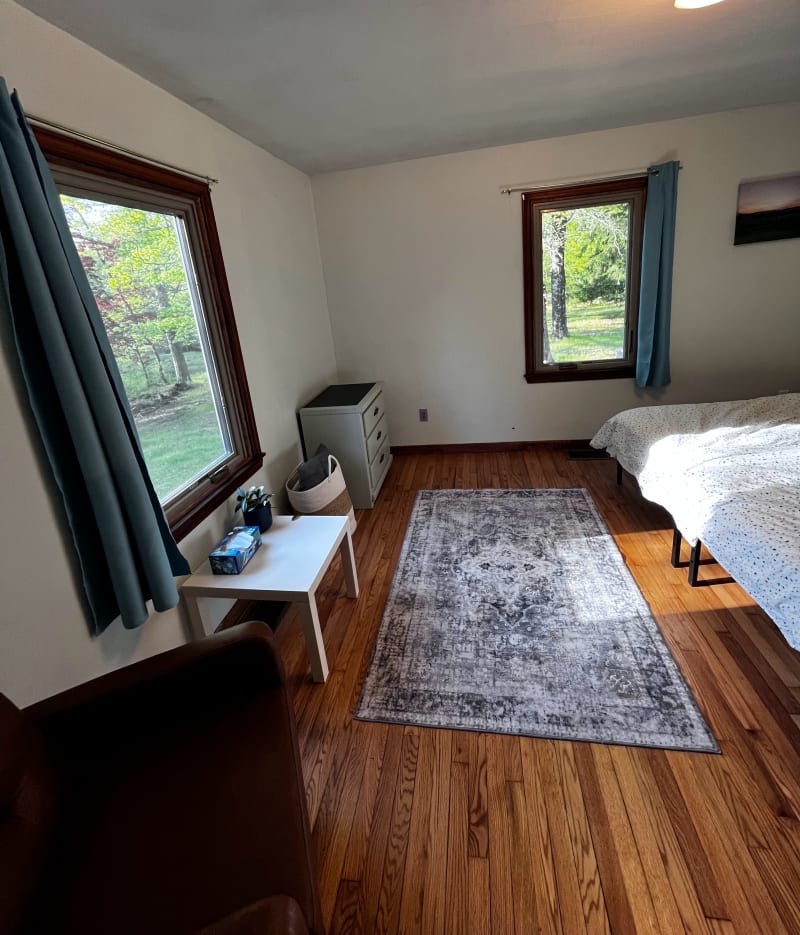 Large downstairs bedroom, second angle