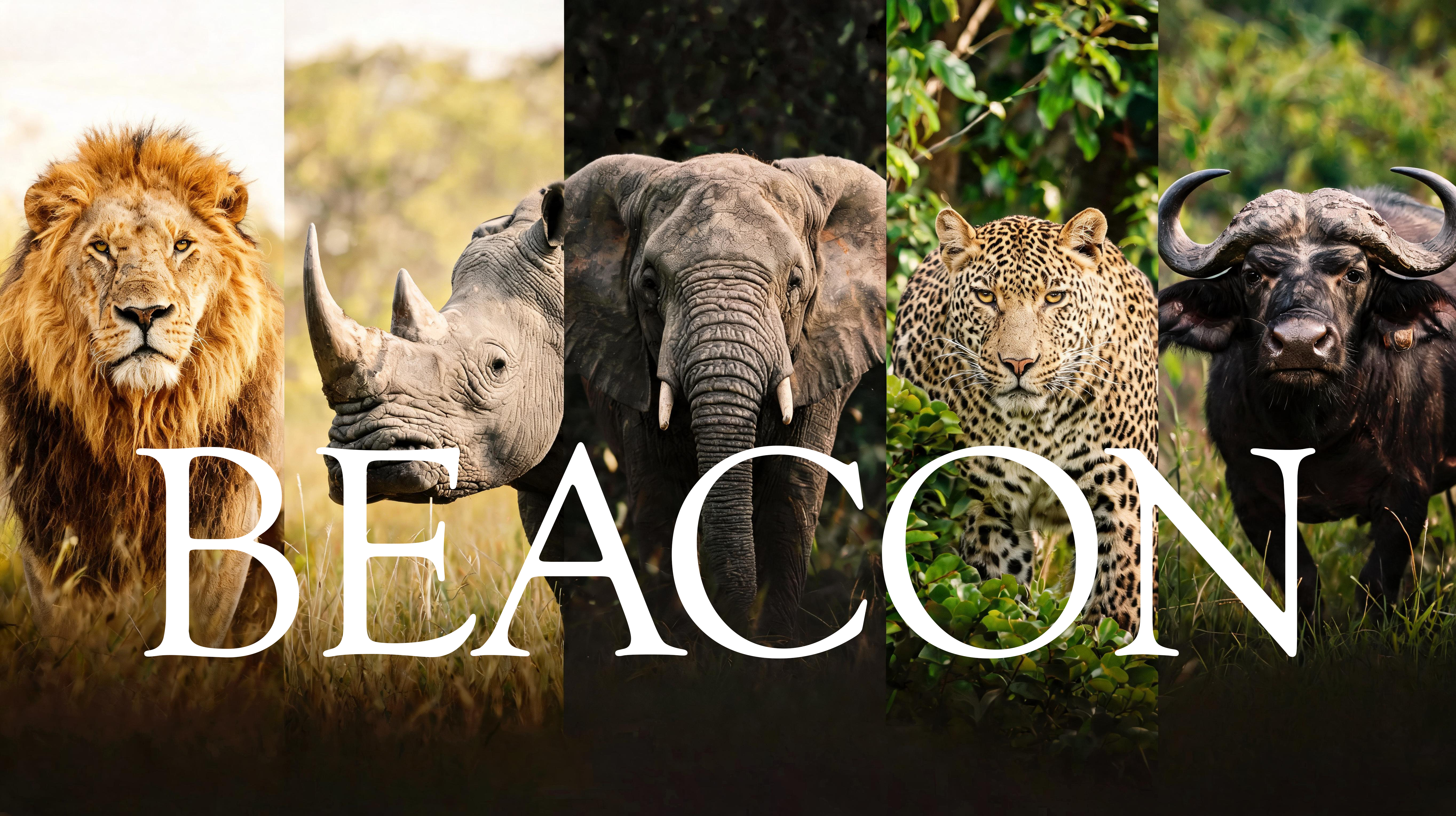 Tanzania Expeditions Collage