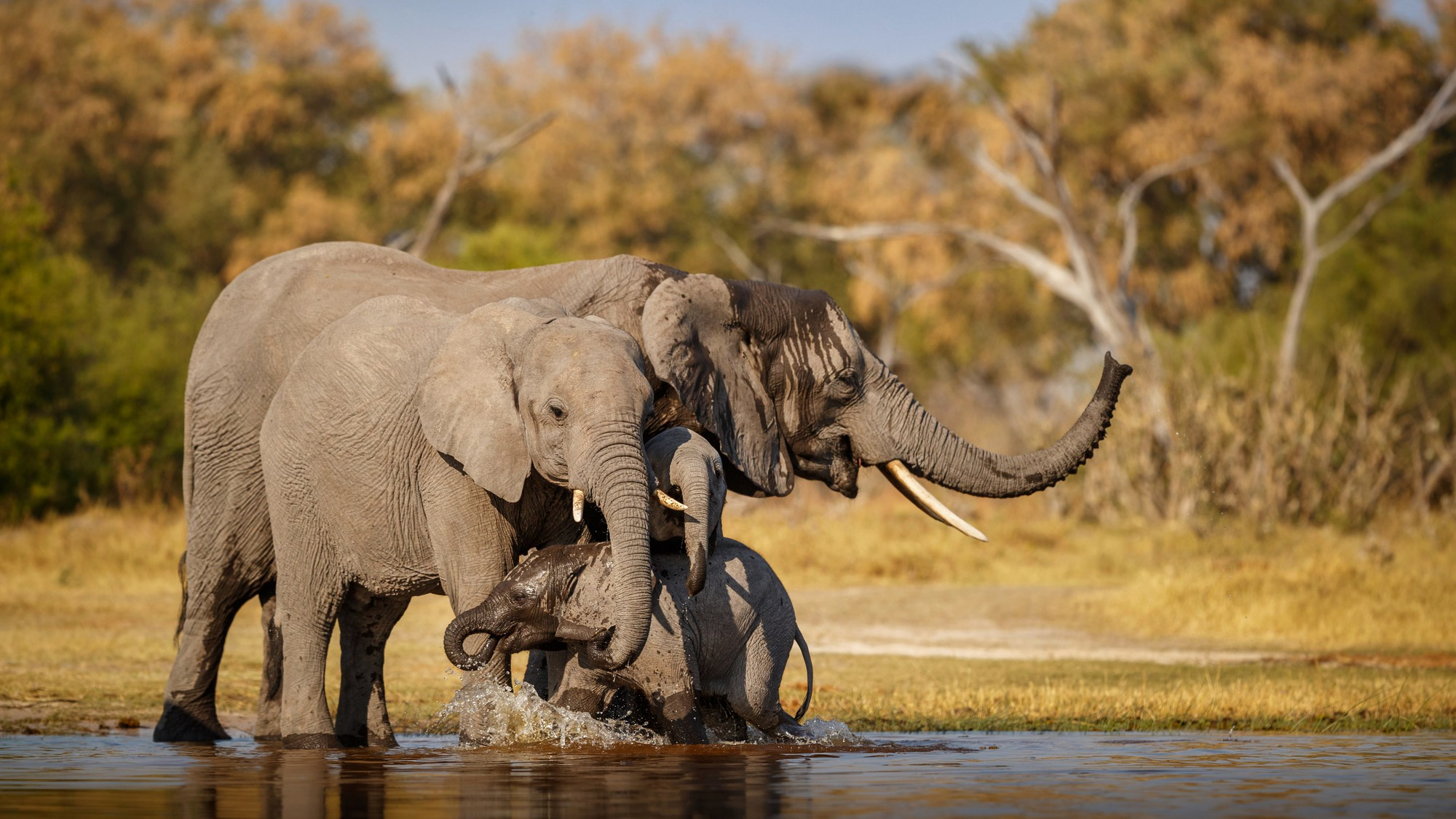 Serengeti National Park