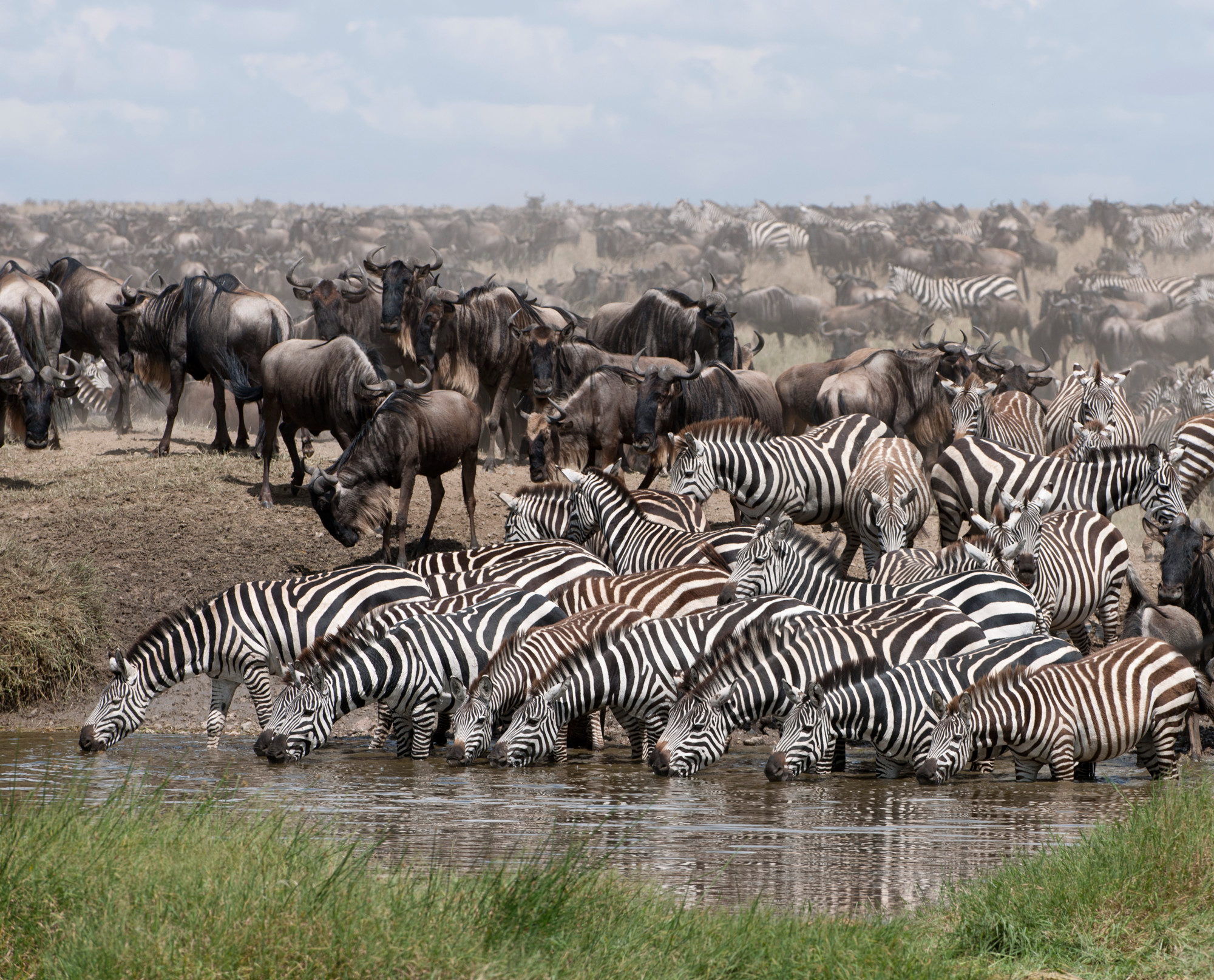 Tarangire National Park