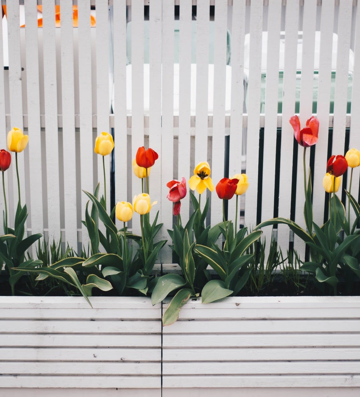 deck Deck Painting with flowers