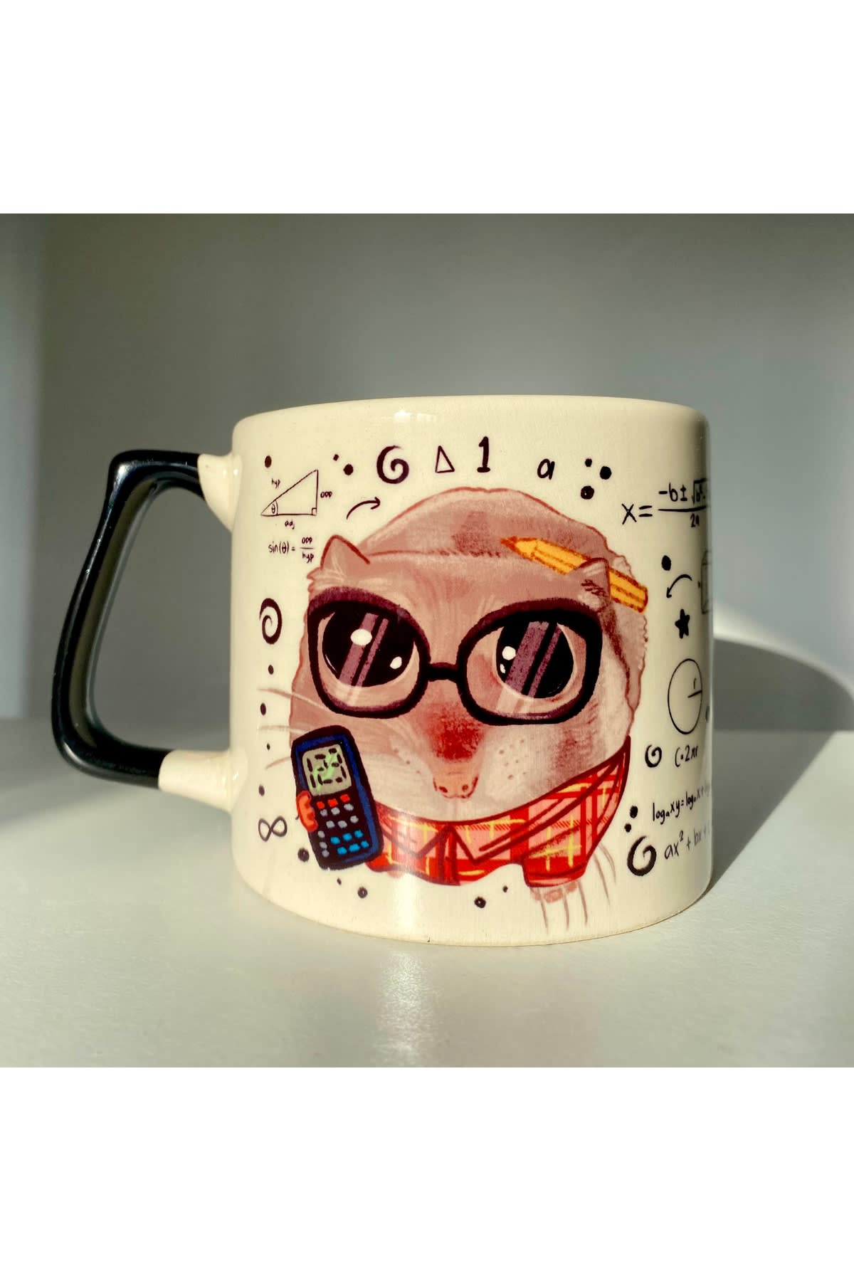 Sad Üzgün Hamster - Meslek: Matematikçi (Mathematician) Kupa Bardak Fincan