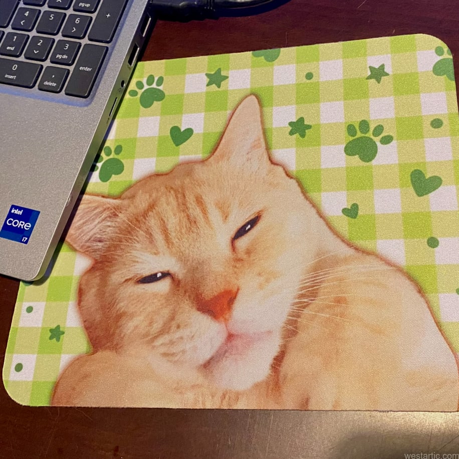 Evcil Hayvanınız için KİŞİSEL ÖZEL TASARIM Mousepad Mouse Altlığı Pad 