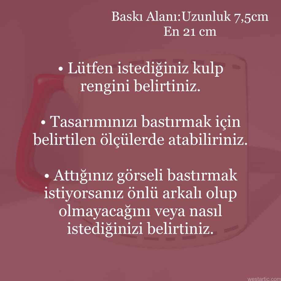 Tasarladığınız veya İstediğiniz Baskılı Özel Kişisel Kupa Fincan görsel 2