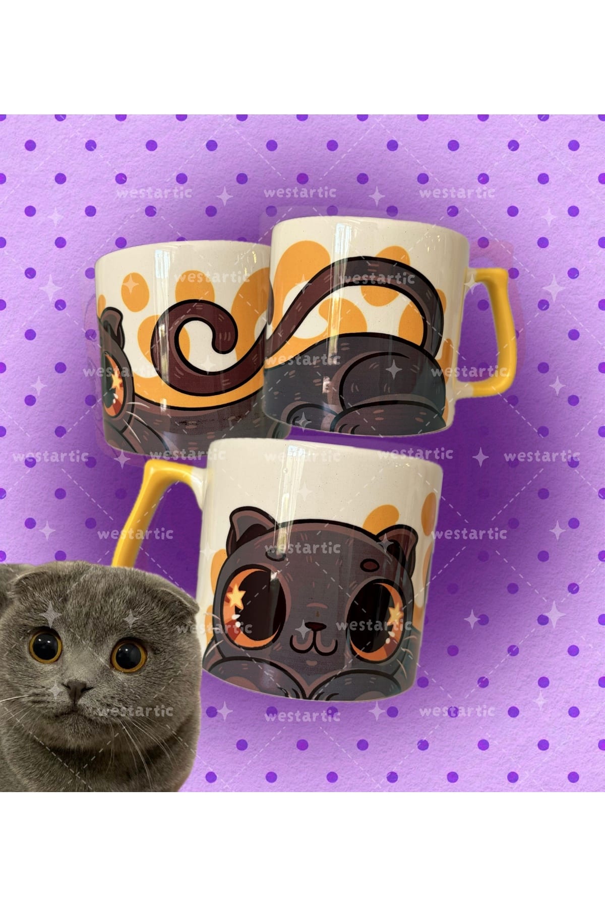 westcats Scottish Fold Cins Renkli Gri Kedi Tasarım Kupa Fincan Bardak