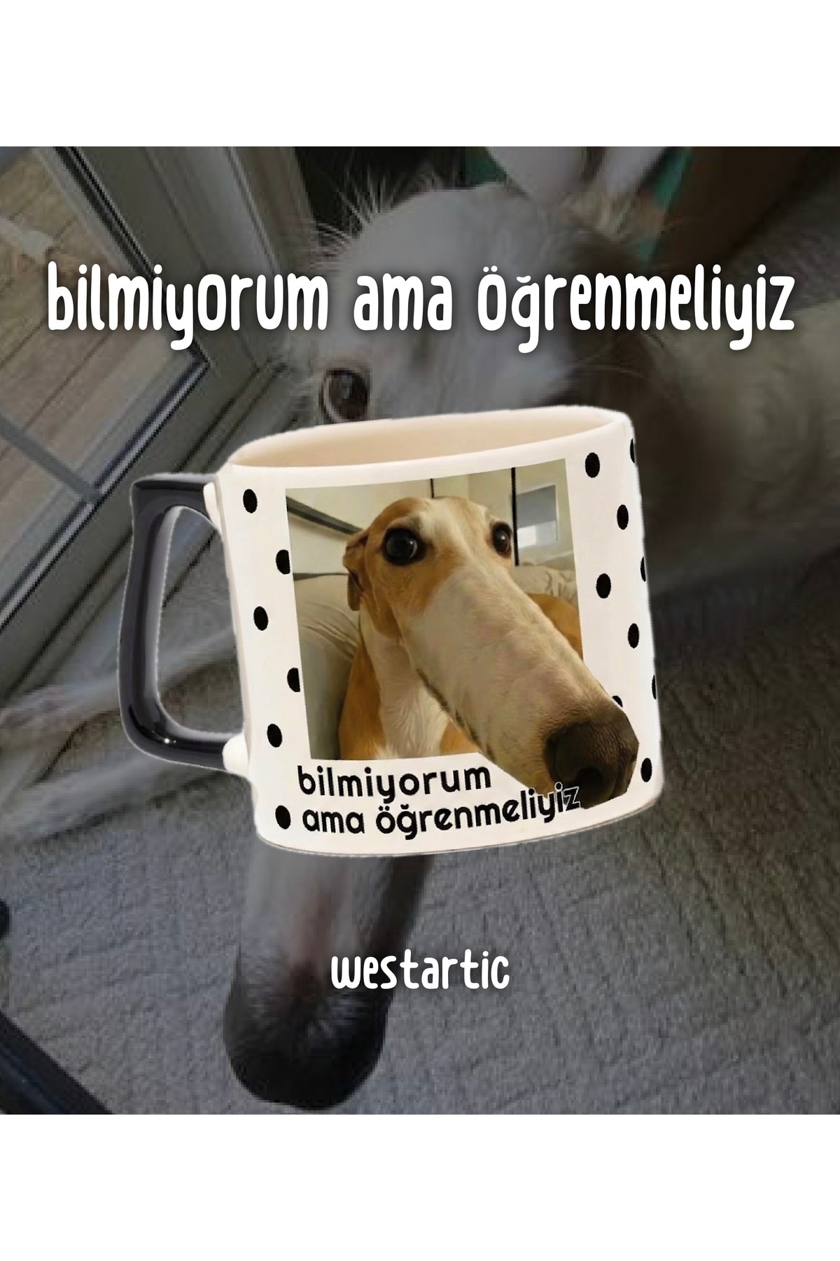 Uzun Burunlu Köpek Borzoi “Bilmiyorum Ama Öğrenmemiz Lazım” Puantiyeli Meme Kupa Mizah Komik Kupa Kahve Fincanı