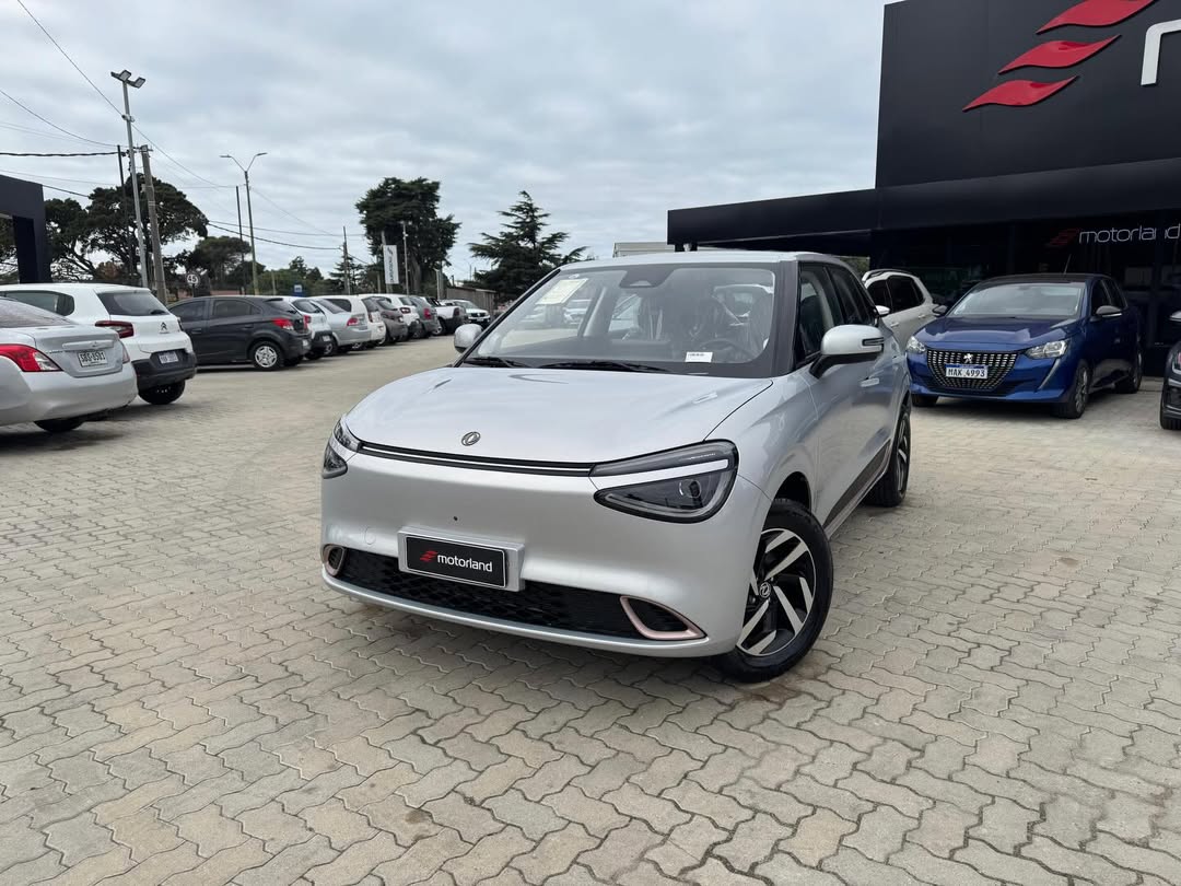 Dongfeng Nammi 430