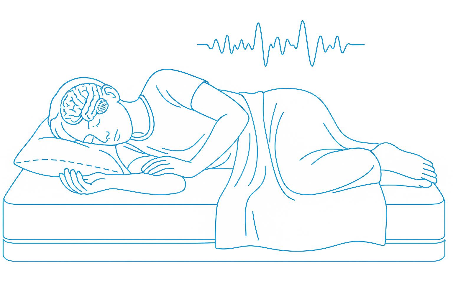 Non-REM (NREM) Sleep