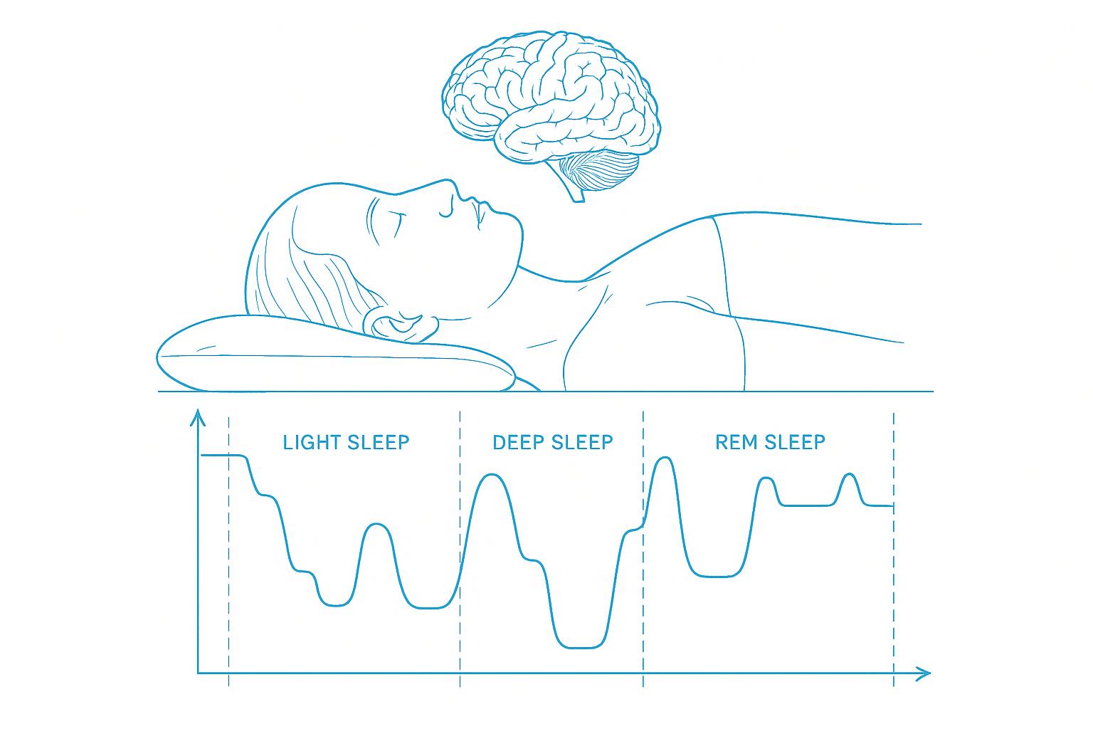 Sleep Cycle