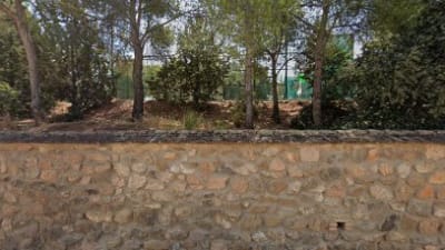 ESCUELA DE PÁDEL BORJA GUILLEM – photo 1