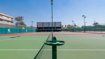 Club Deportivo Futurama, México – photo 1