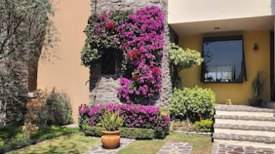 La Campiña del Bosque – photo 1