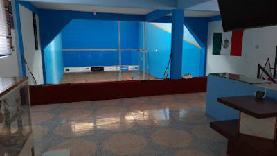 GoMex Squash Cristal Xalapa – photo 1
