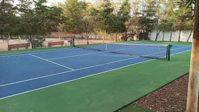 Escuela de Tenis DIVERTENIS – photo 1