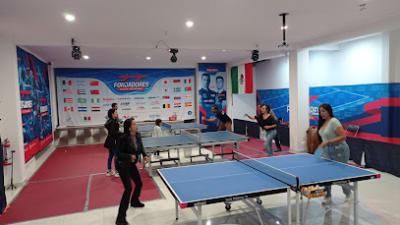 Ping pong TT Forjadores – photo 1