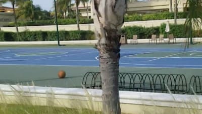 Tennis & Basketball Courts – photo 1
