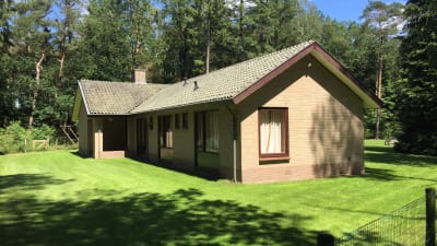 Privately situated bungalow with tennis court in the middle of the Veluwe forest – photo 1