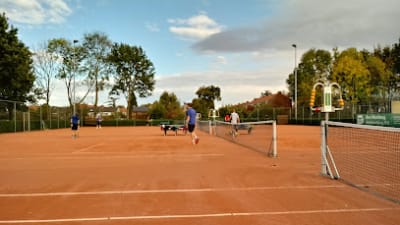 Tennisclub Hazendans🎾 – photo 1