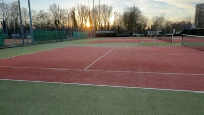 NVLTB🎾 – photo 1