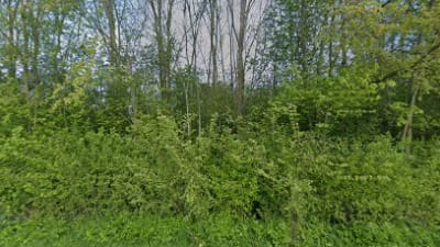 TC LEO – photo 1