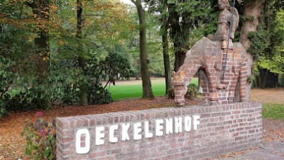 Tennisvereniging Glimmen – photo 1