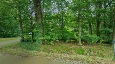 Assen – photo 1