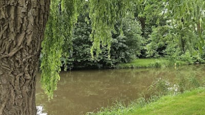Tennisvereniging Nieuwkoop – photo 1