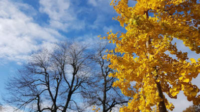 Lubroveld speelplaatsje – photo 1