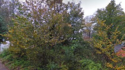 HTV Berg en Dal – photo 1