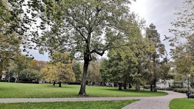 Frederikspark – photo 1