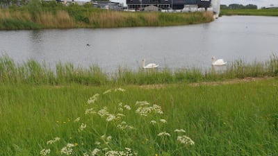 De Beemd – photo 1