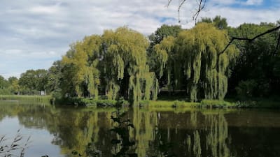 Van Tuyllpark – photo 1