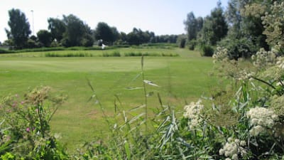 Golfclub AMVJ – photo 1