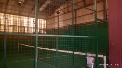 Los pinos – photo 1