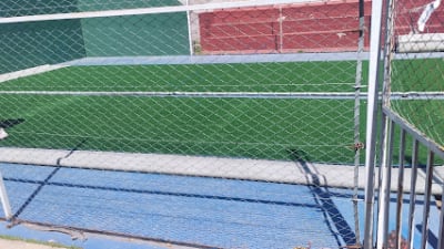 Iguana Paddel – photo 1